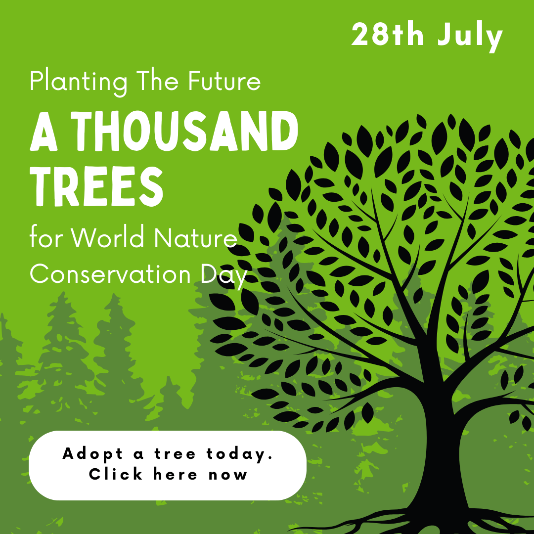 Vedanta Wisdom Vedanta Wisdom