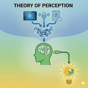 The Theory of Perception Quiz